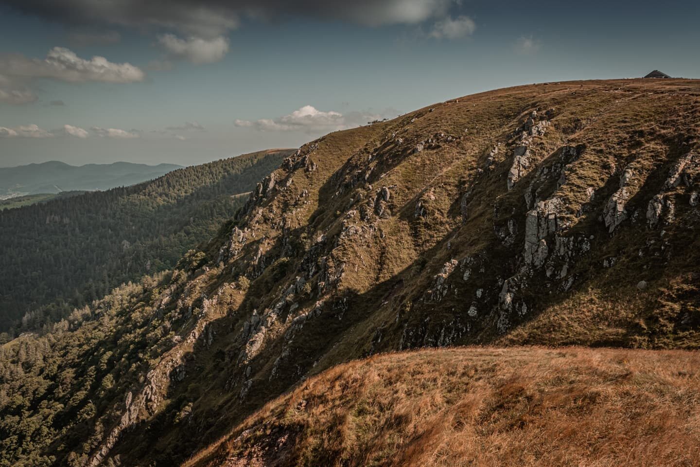 Point de vue.