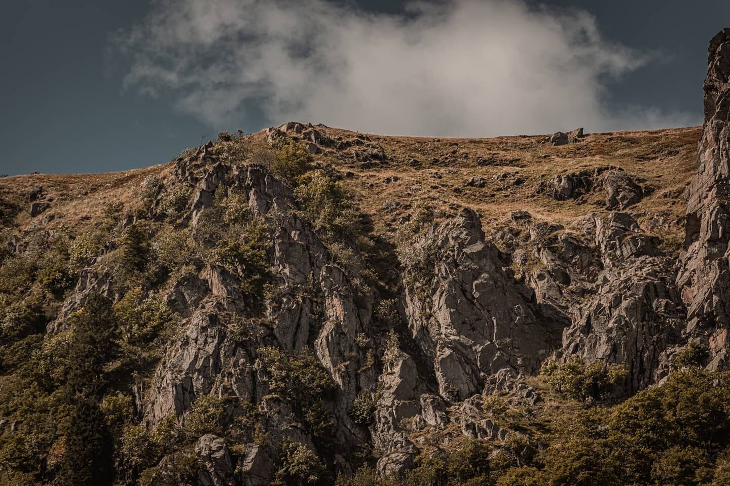 Point de vue.