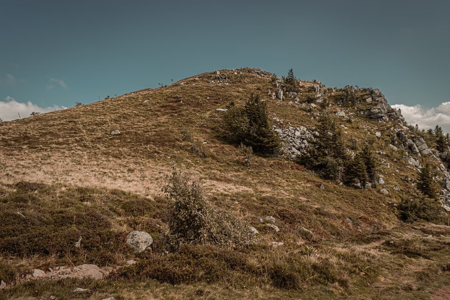 Point de vue.