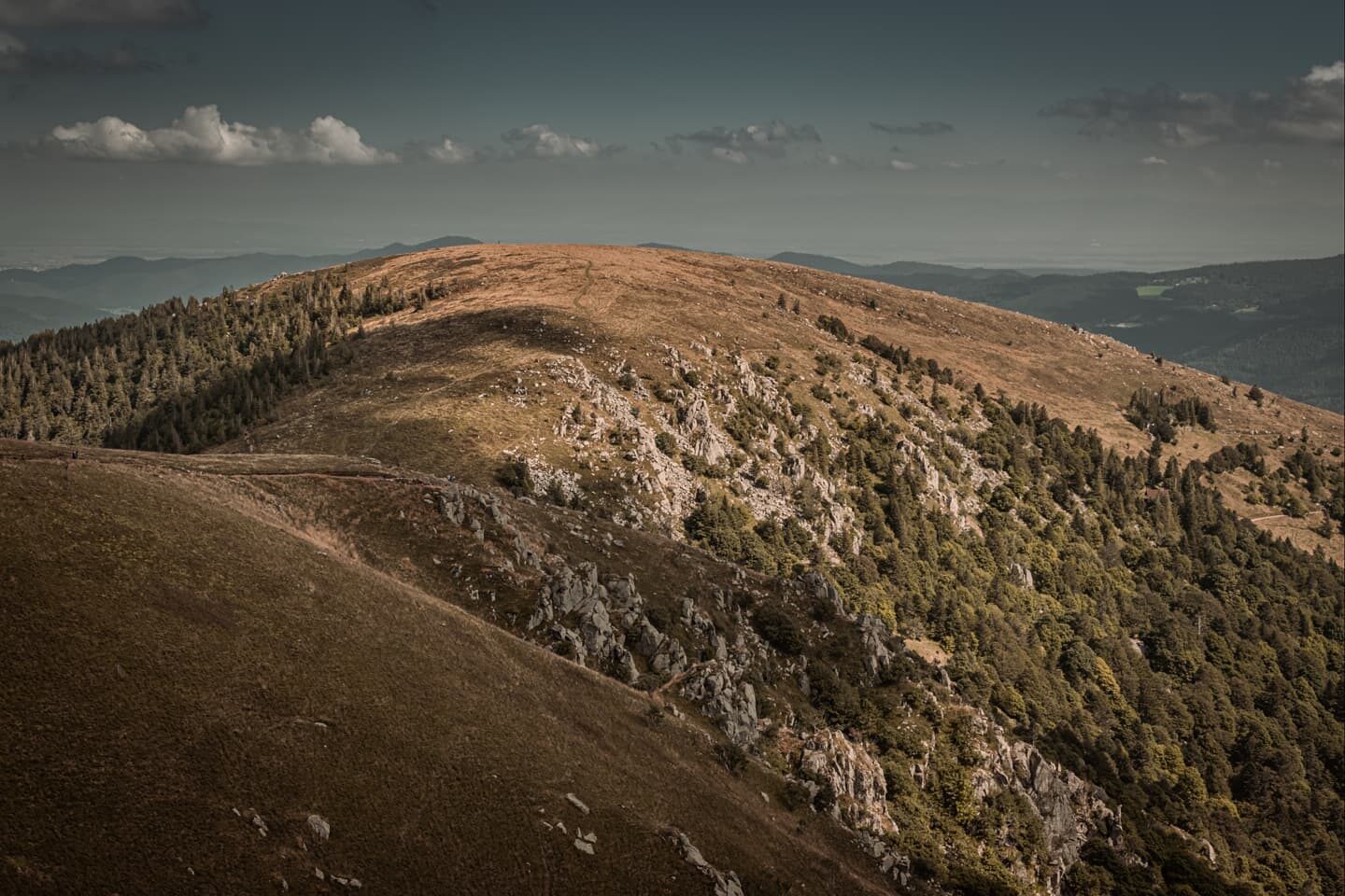 Point de vue.