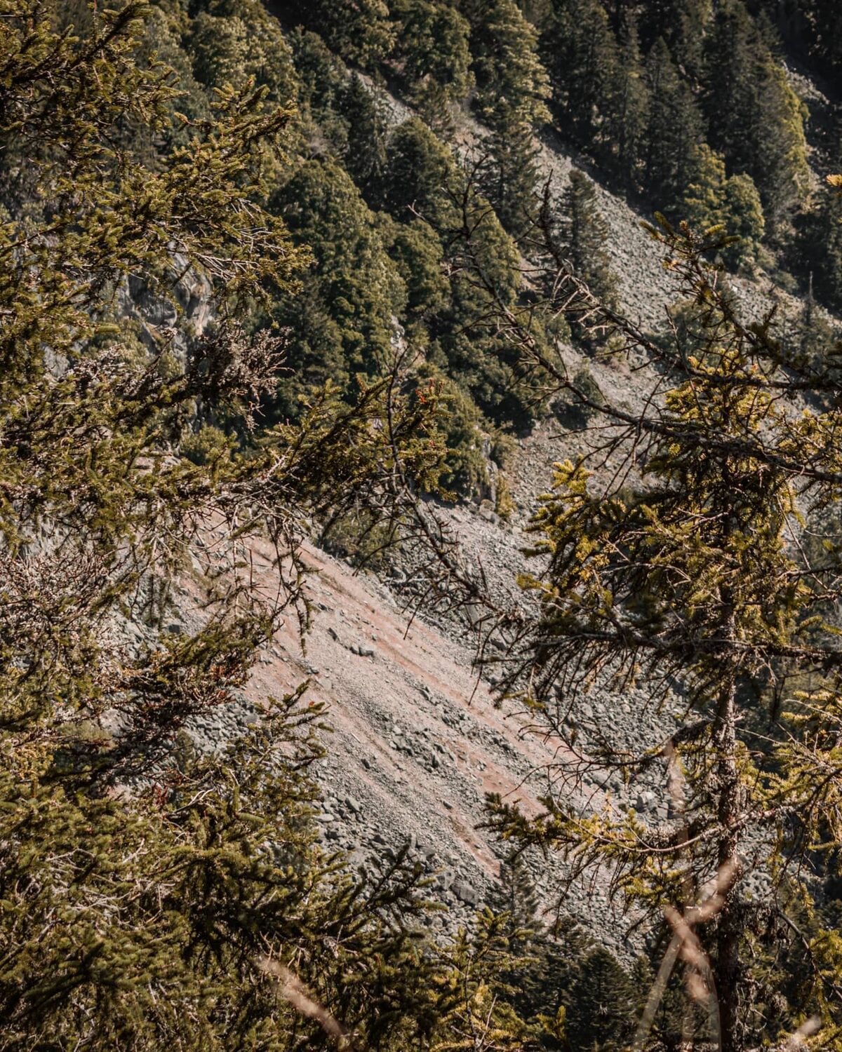 Don't look down.
