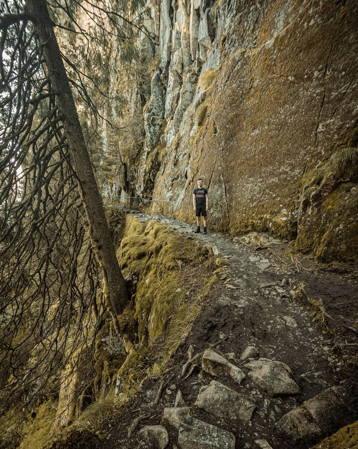 Don't look down.