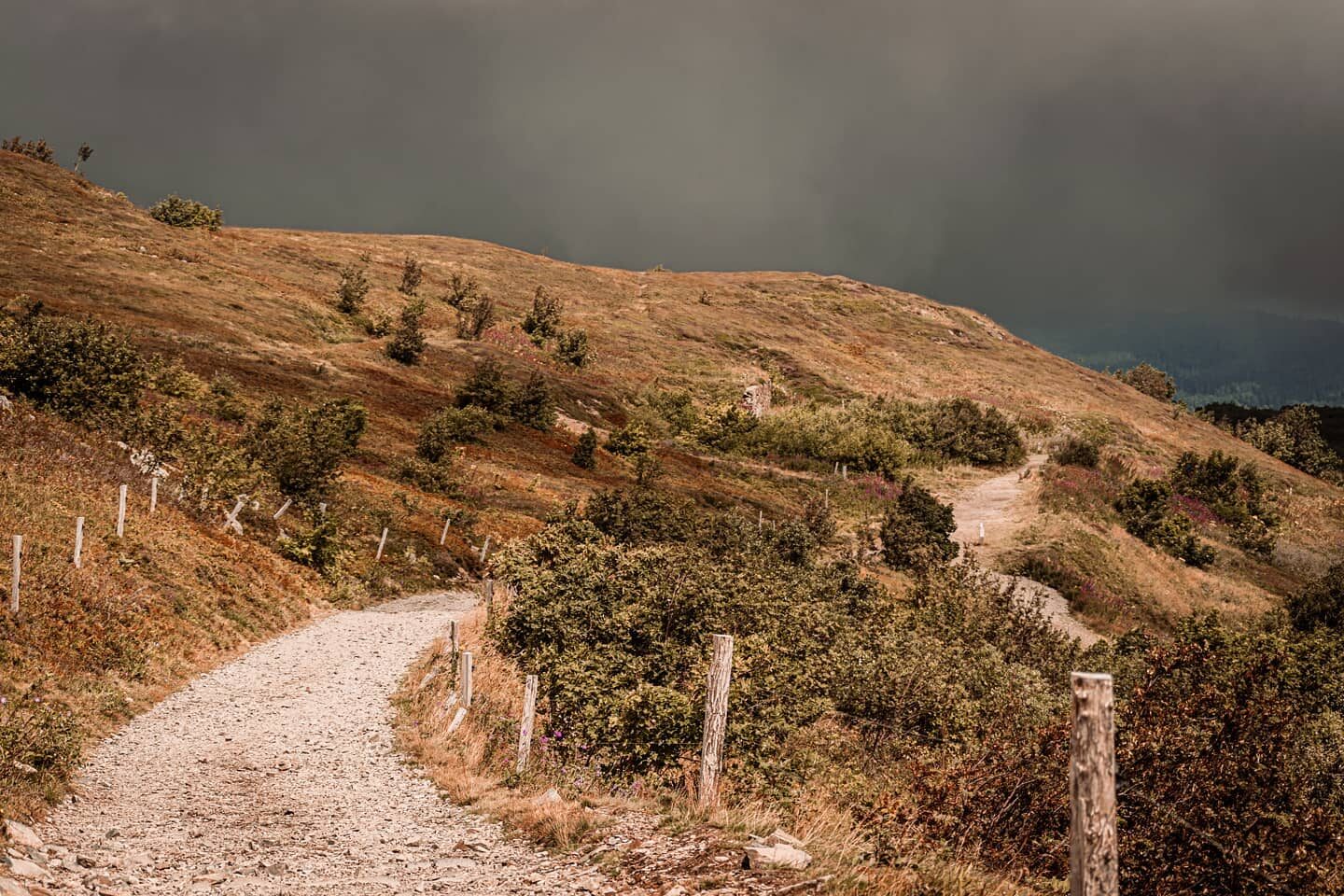 The Panoramic Route.