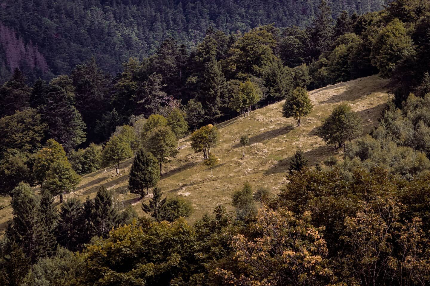 As seen from Le Petit Ballon.