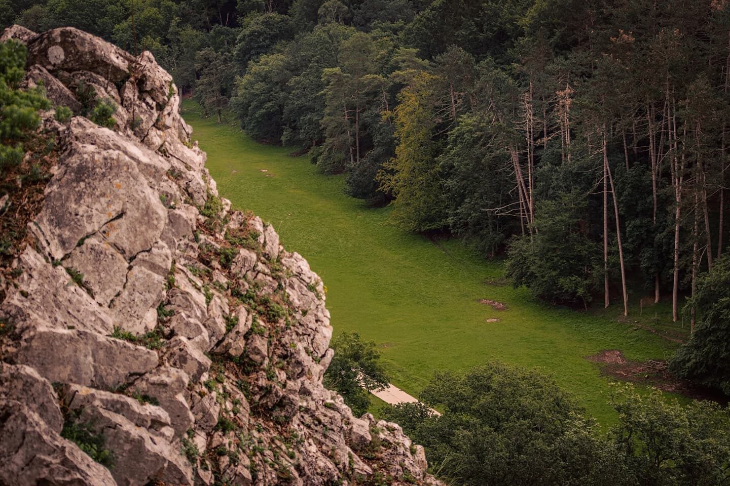 D'Ardennen.