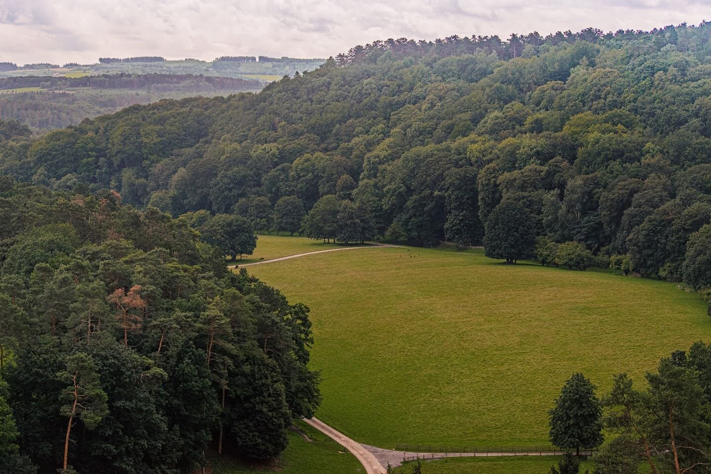 D'Ardennen.