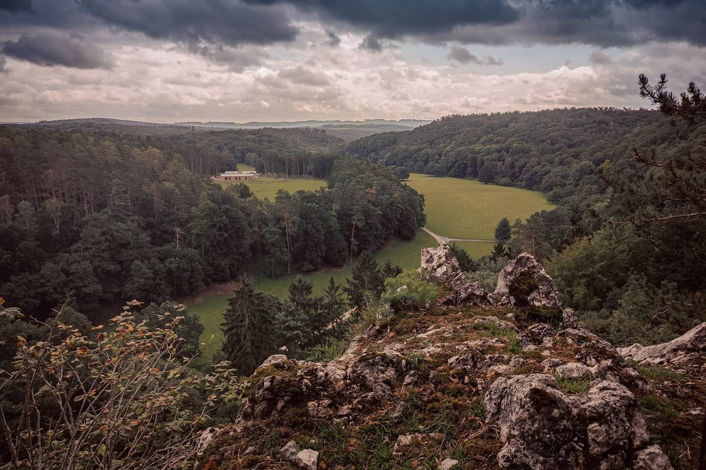 D'Ardennen.