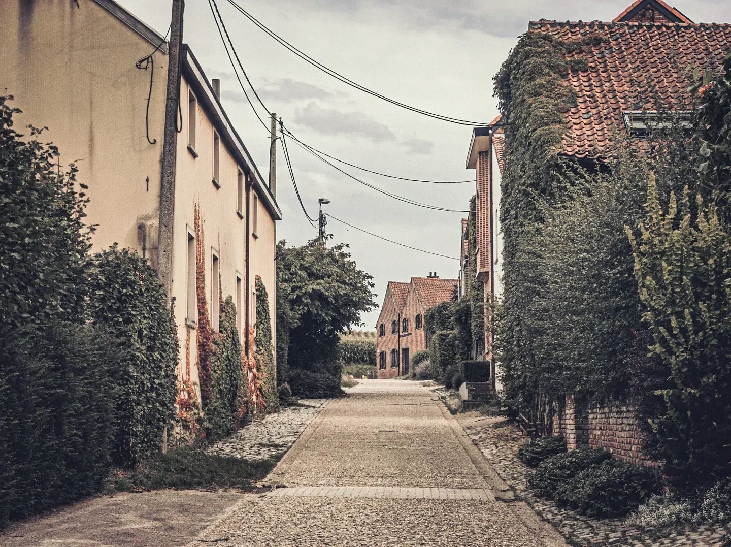 Vlaamse velden.