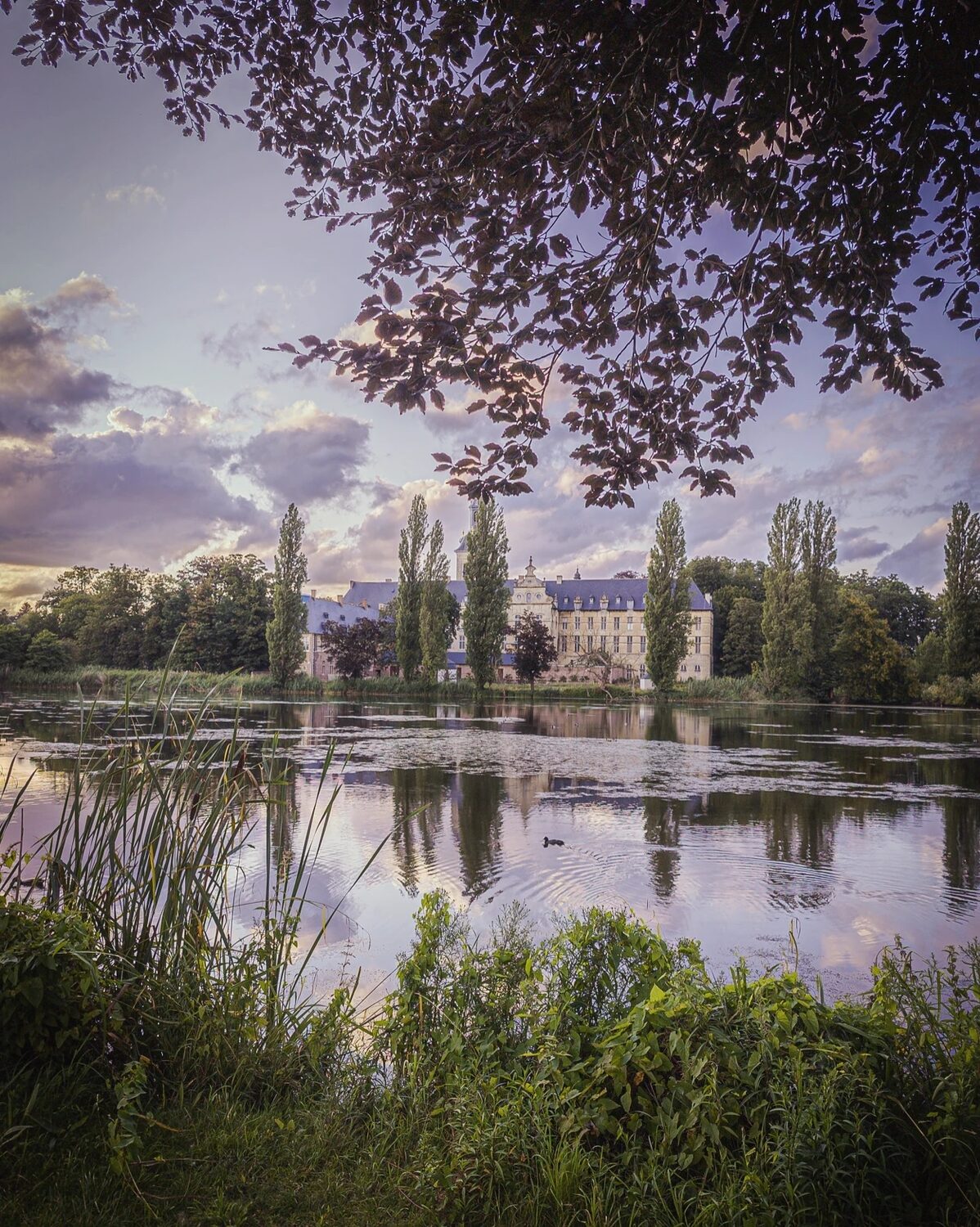 The Abbey
