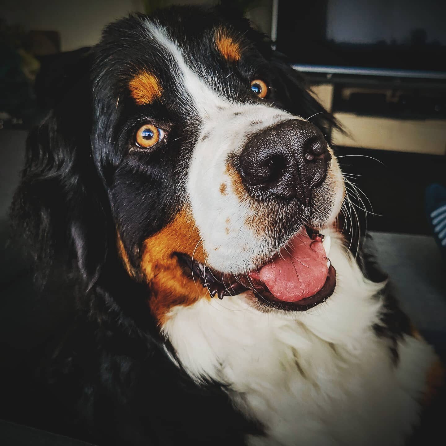 Imported Instagram photo