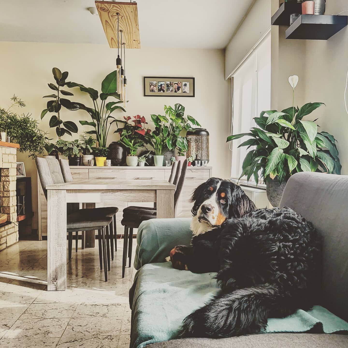 Imported Instagram photo