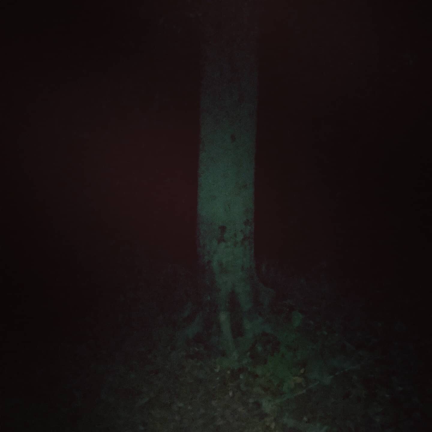 Heverlee Witch Project