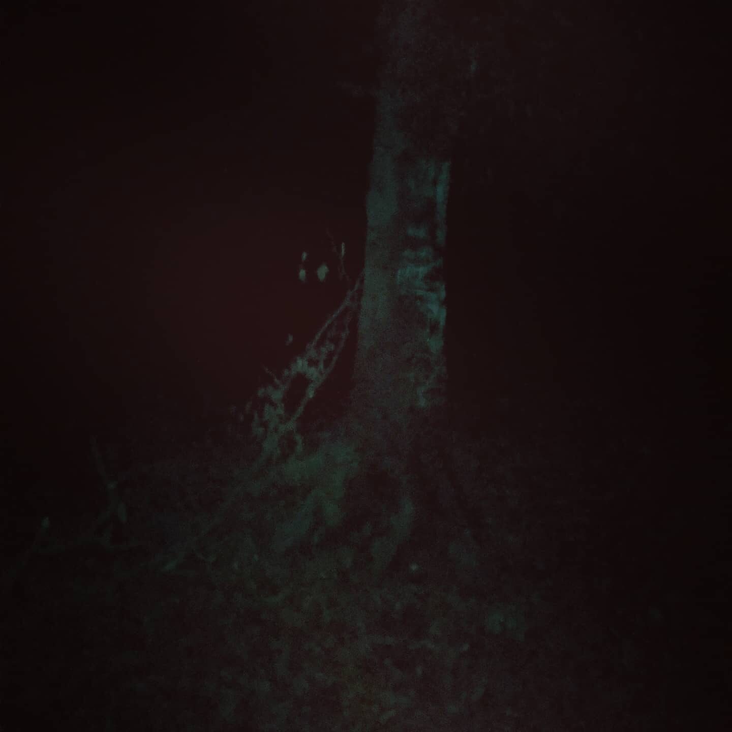 Heverlee Witch Project