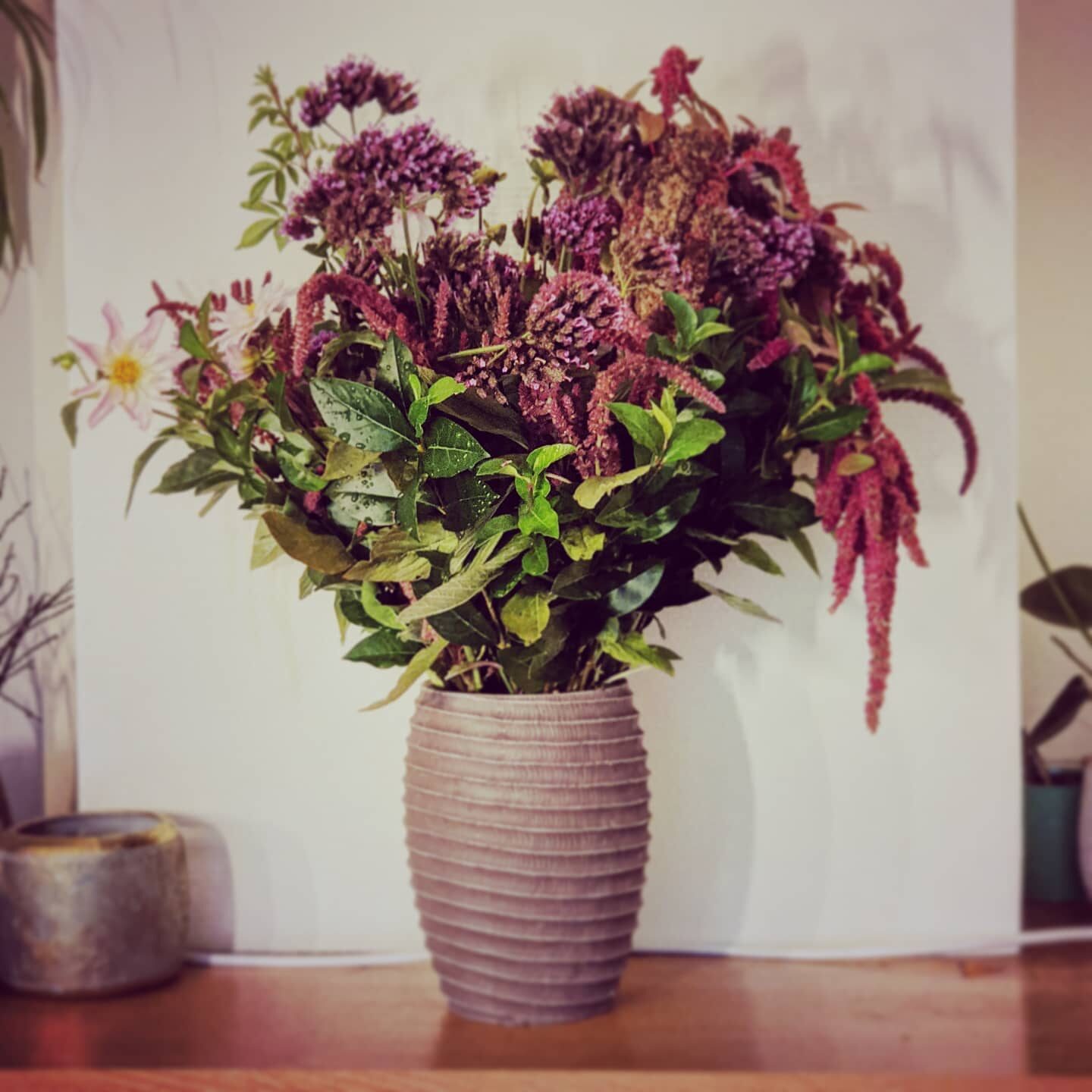 Imported Instagram photo