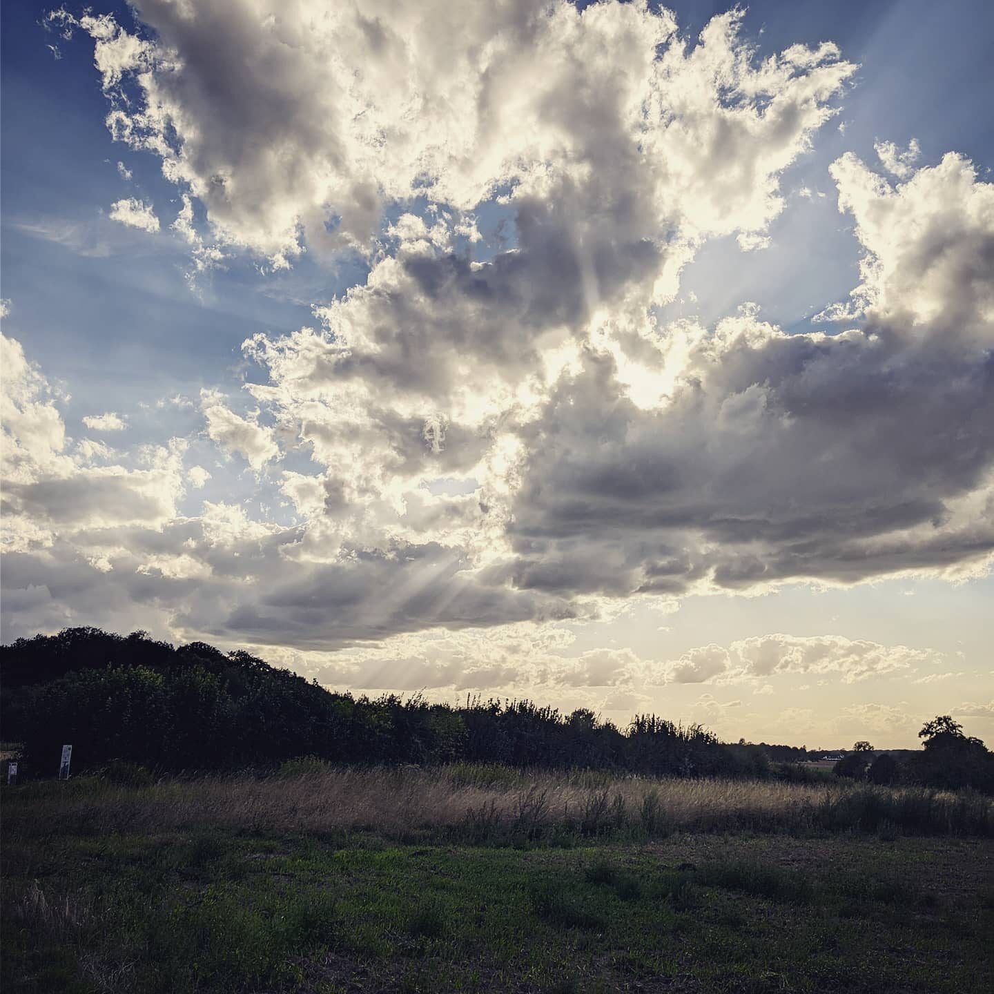 Imported Instagram photo