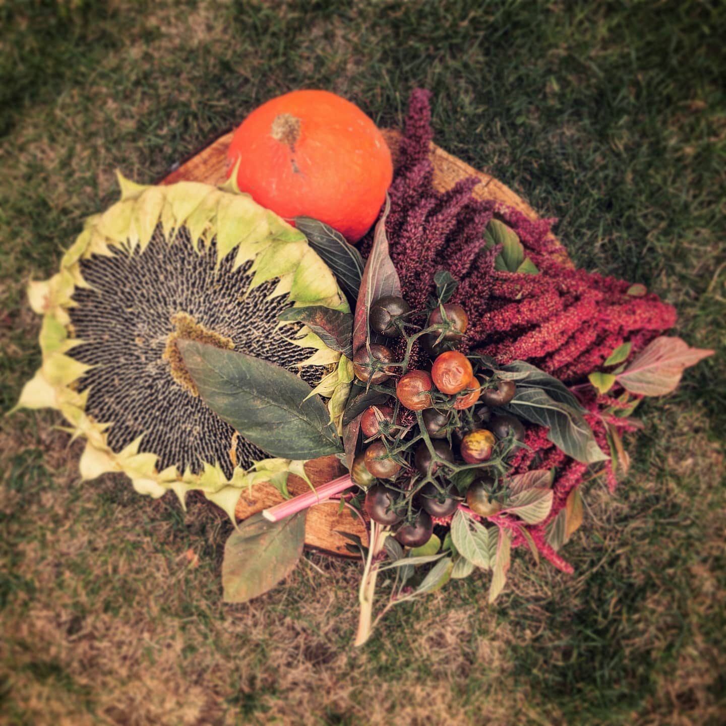 Imported Instagram photo