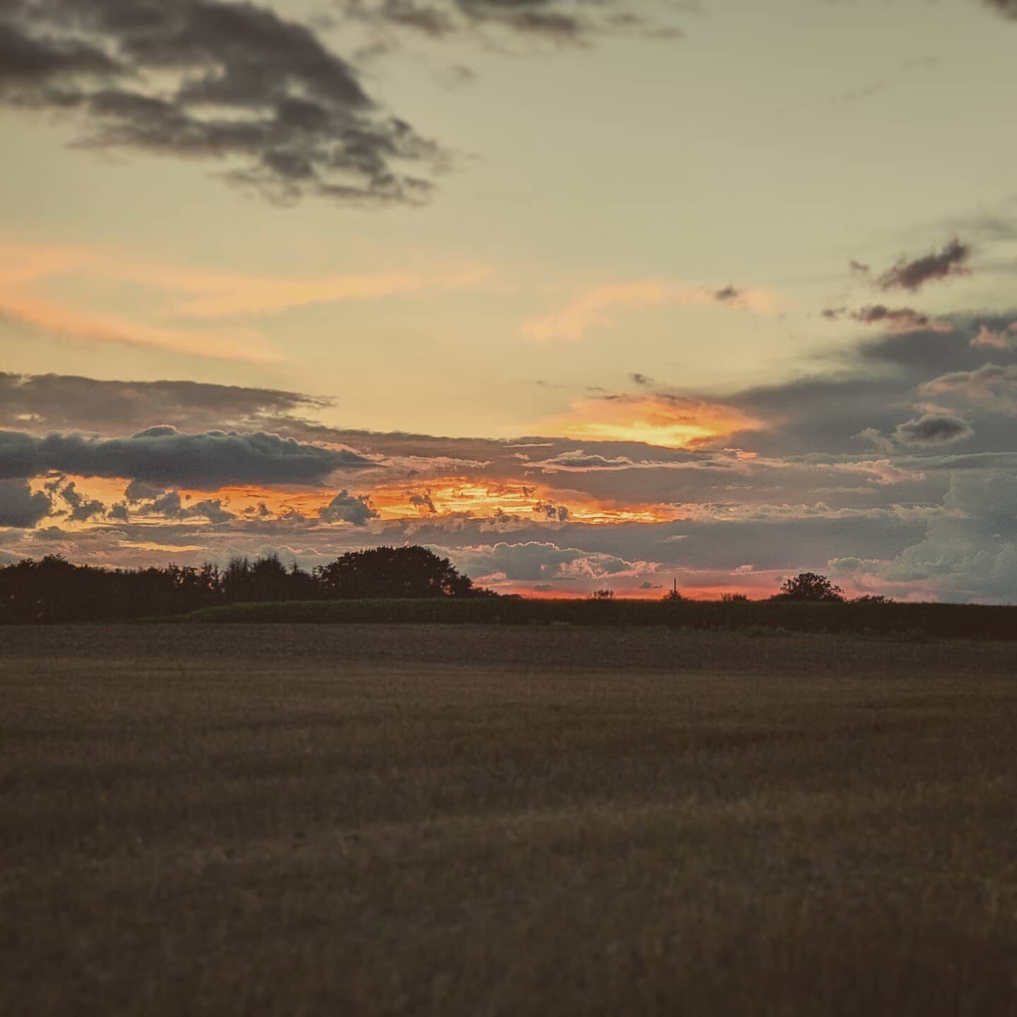 Imported Instagram photo