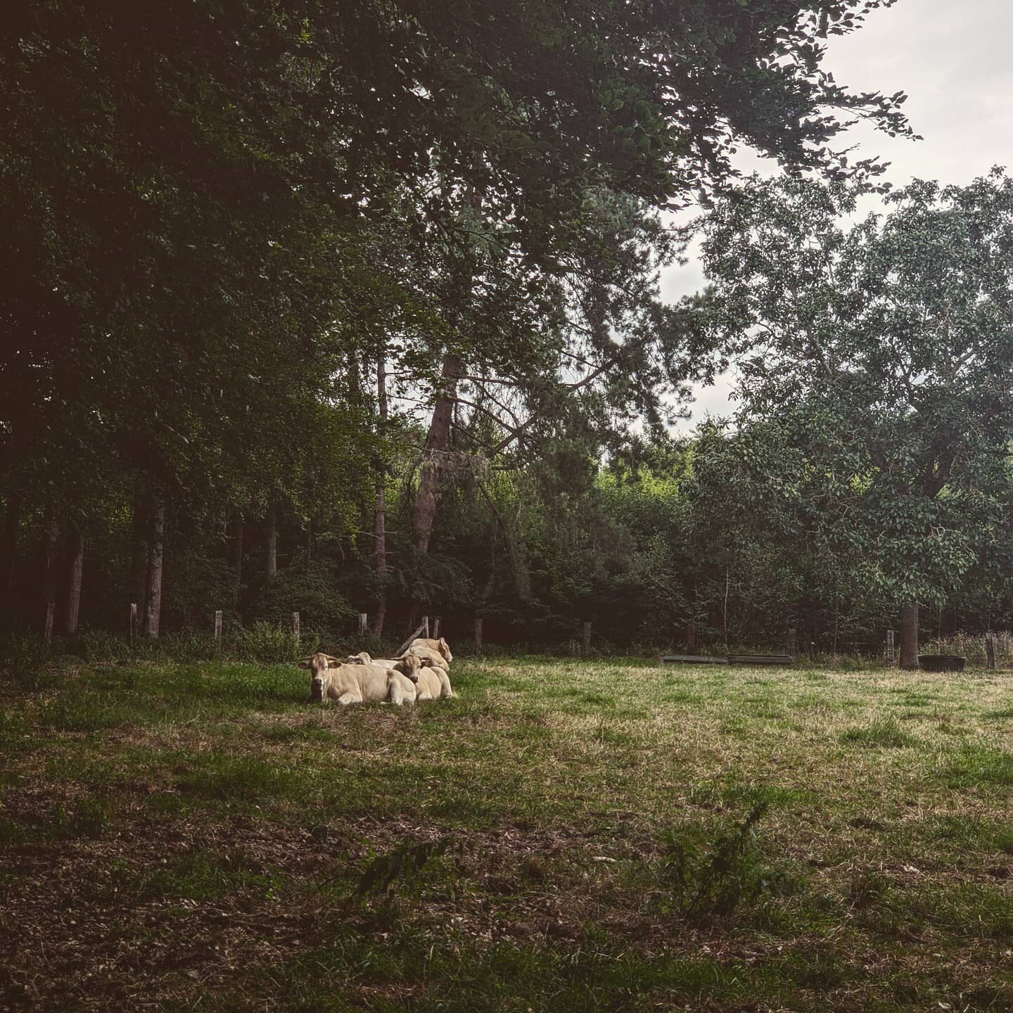 Imported Instagram photo