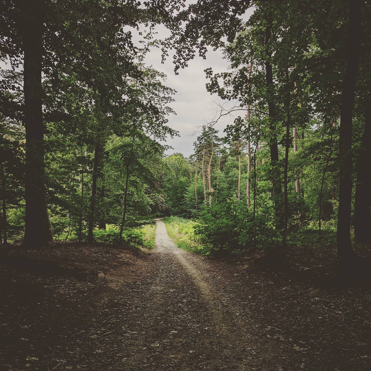 Imported Instagram photo
