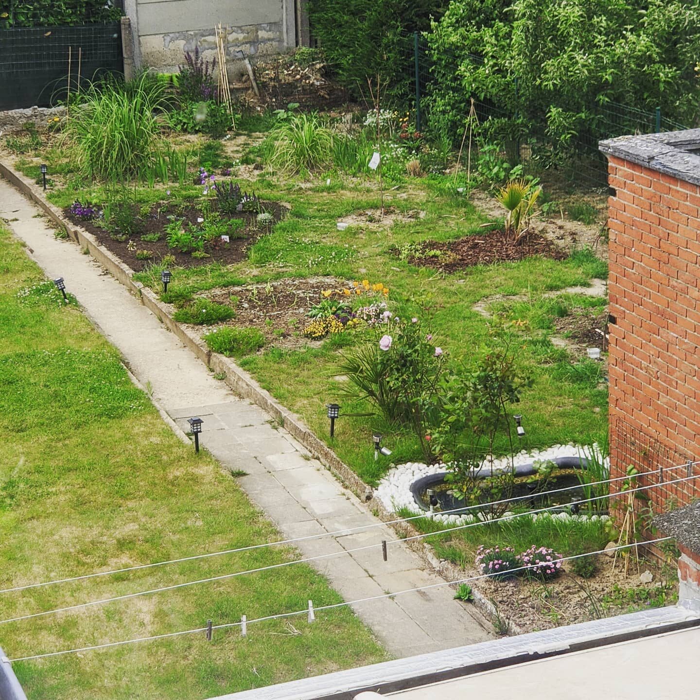 Tuinevolutie maart-juni 2020.