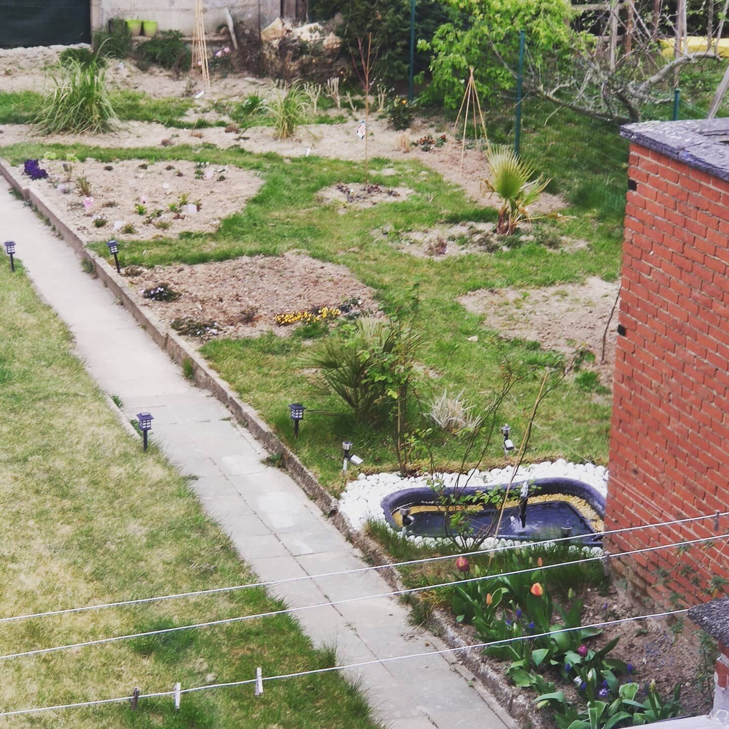 Tuinevolutie maart-juni 2020.