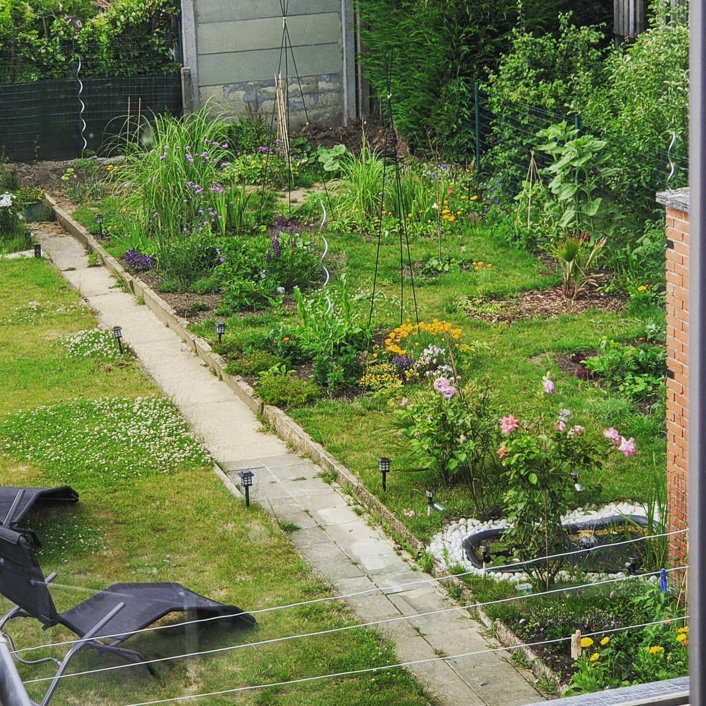 Tuinevolutie maart-juni 2020.