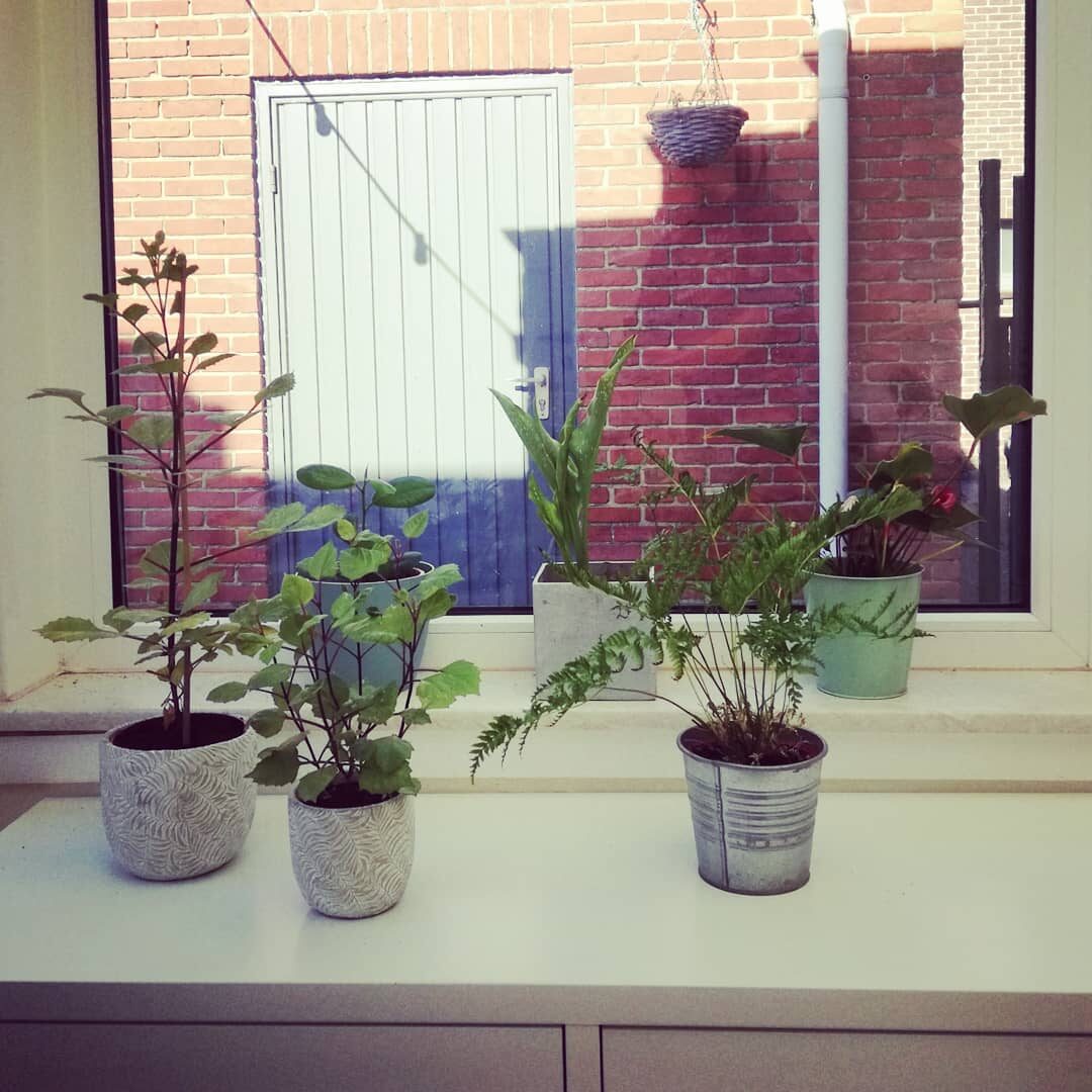 Krampachtig vastklampen aan een verganende, tanende zomer.
