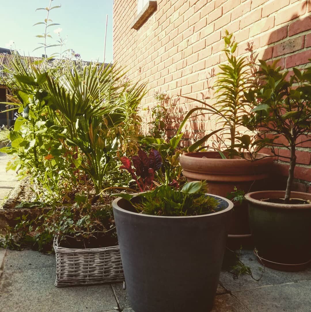 Krampachtig vastklampen aan een verganende, tanende zomer.