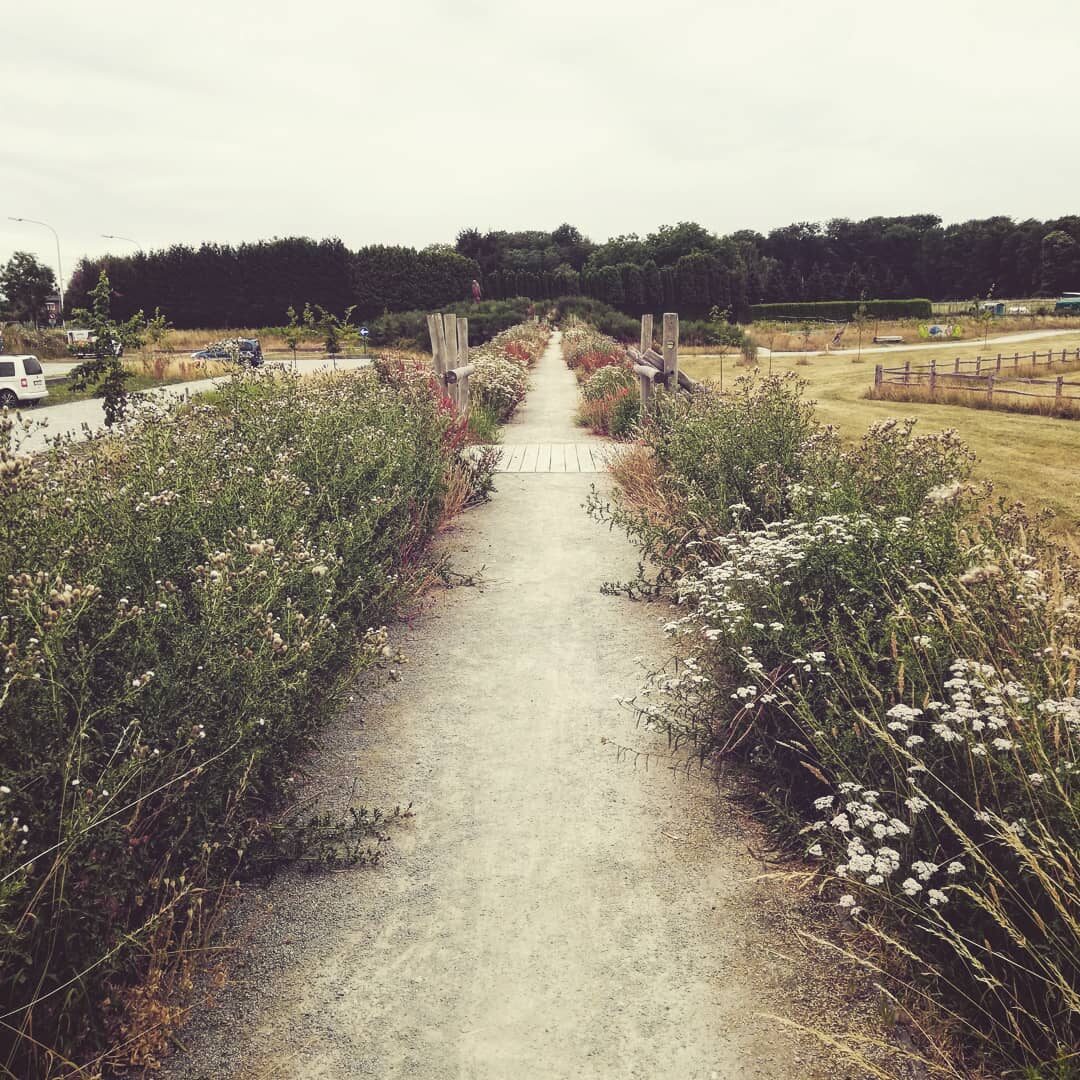Meer knooppunten!

#heverlee #vlaanderenvakantieland #fietsknooppunten #oudheverlee #zoetewaters