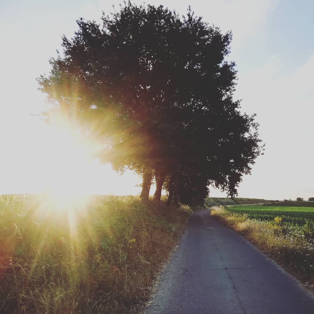Leuke stukjes, maar nu ook niet omver geblazen. 6/10 would not necessarily recommend.

#fietsknooppunten #heverlee #vlaanderenvakantieland