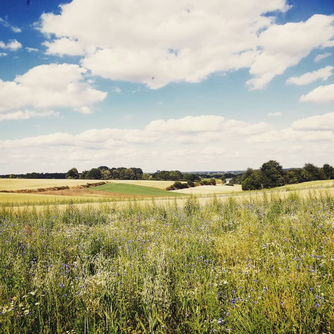 Toerist in eigen streek.

#heverlee #oudheverlee #korbeekdijle #egenhoven #fietsknooppunten #vlaanderenvakantieland