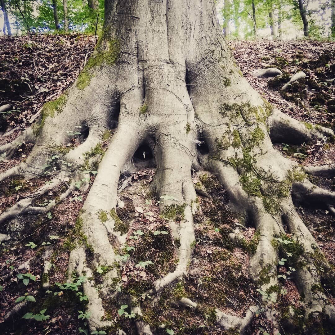 Toerist in eigen streek.

#heverlee #oudheverlee #korbeekdijle #egenhoven #fietsknooppunten #vlaanderenvakantieland