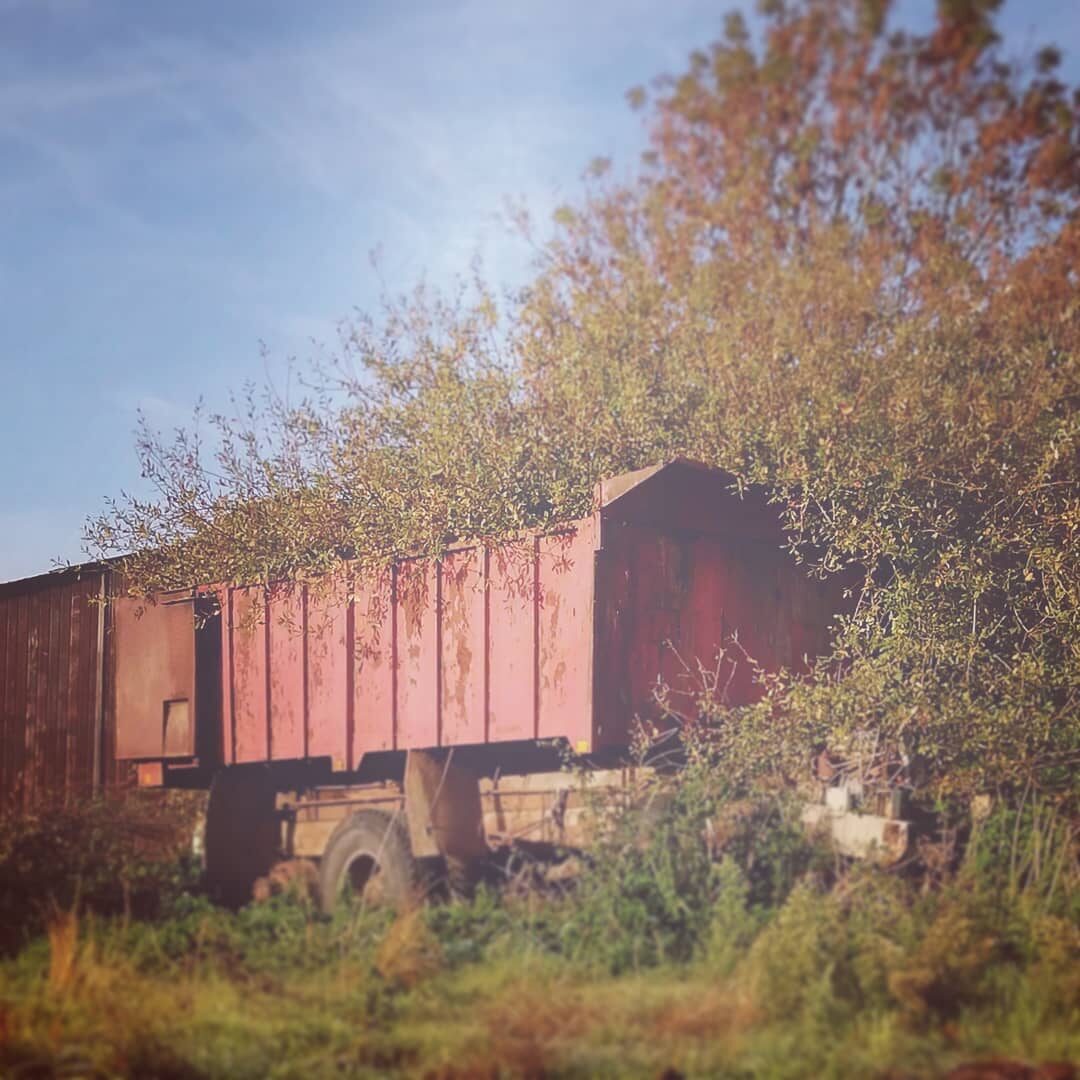 Imported Instagram photo