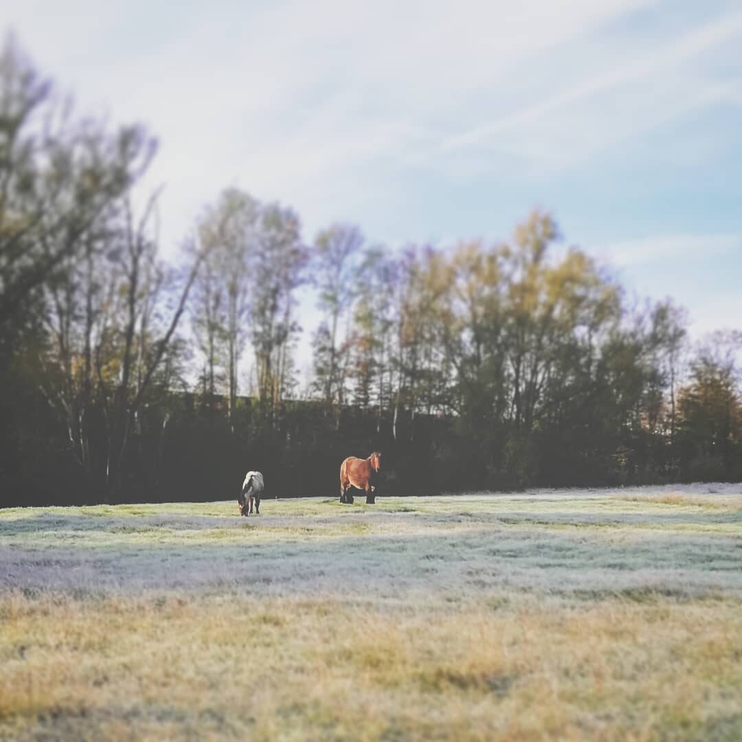 Imported Instagram photo