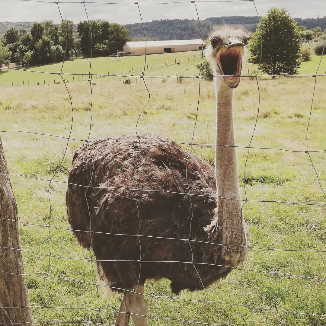 Imported Instagram photo