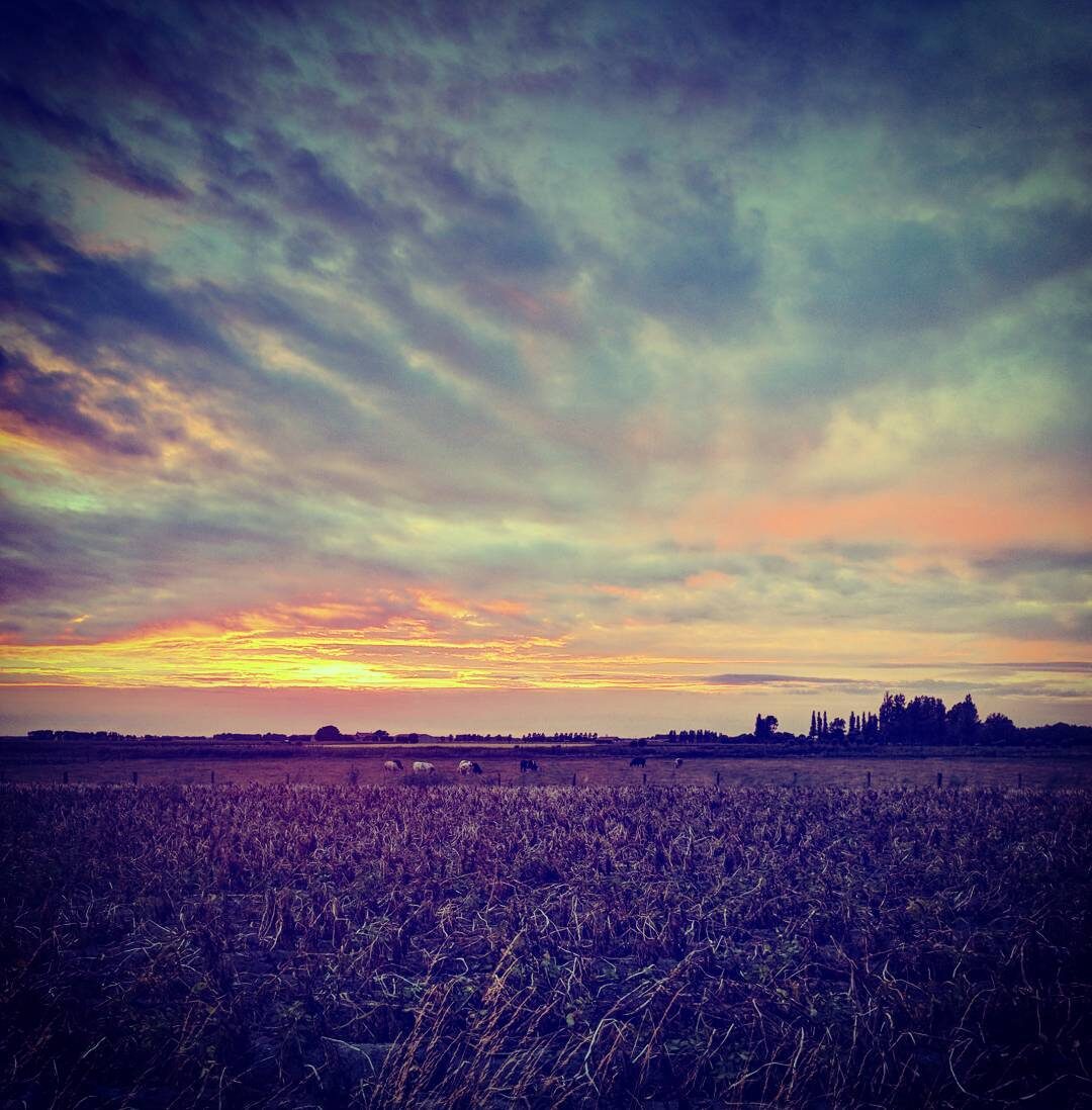 Imported Instagram photo
