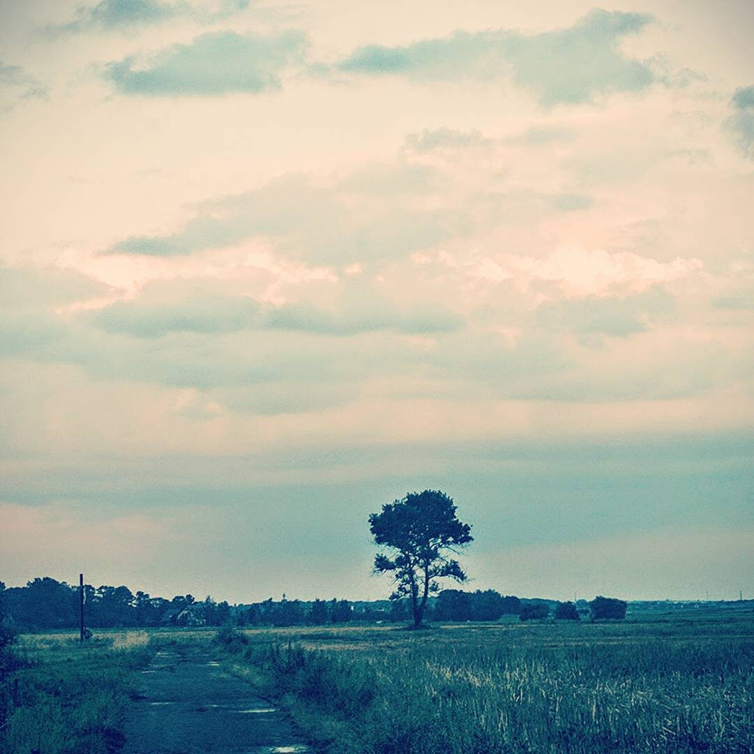 Imported Instagram photo
