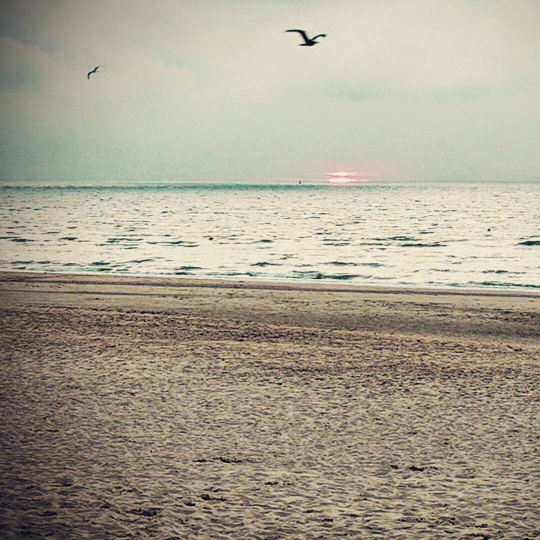 Imported Instagram photo
