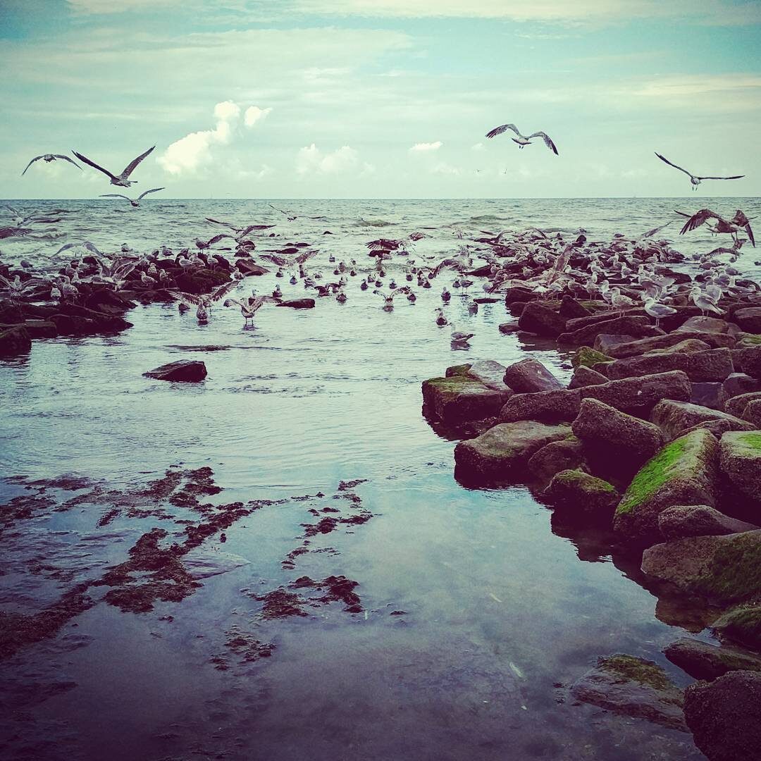 Imported Instagram photo