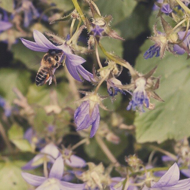 Imported Instagram photo