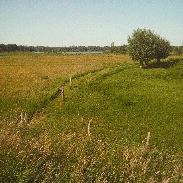 Imported Instagram photo
