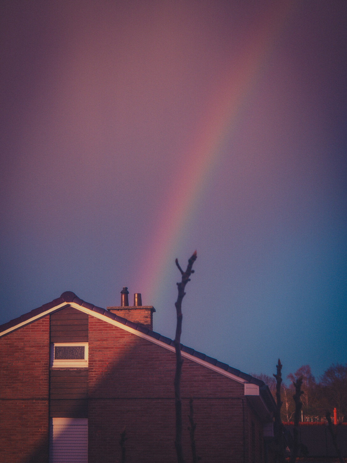 Rainbow