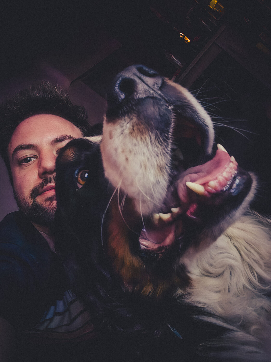 Knuffels met Skye
