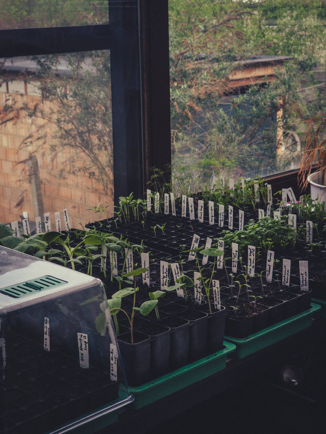 Garden season.