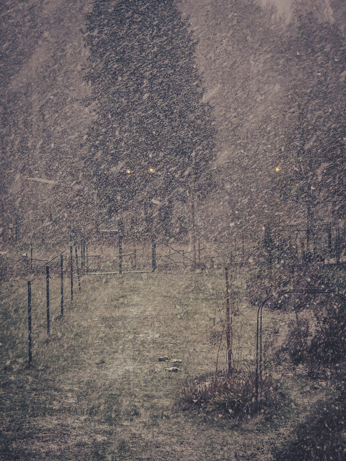 Meer sneeuw