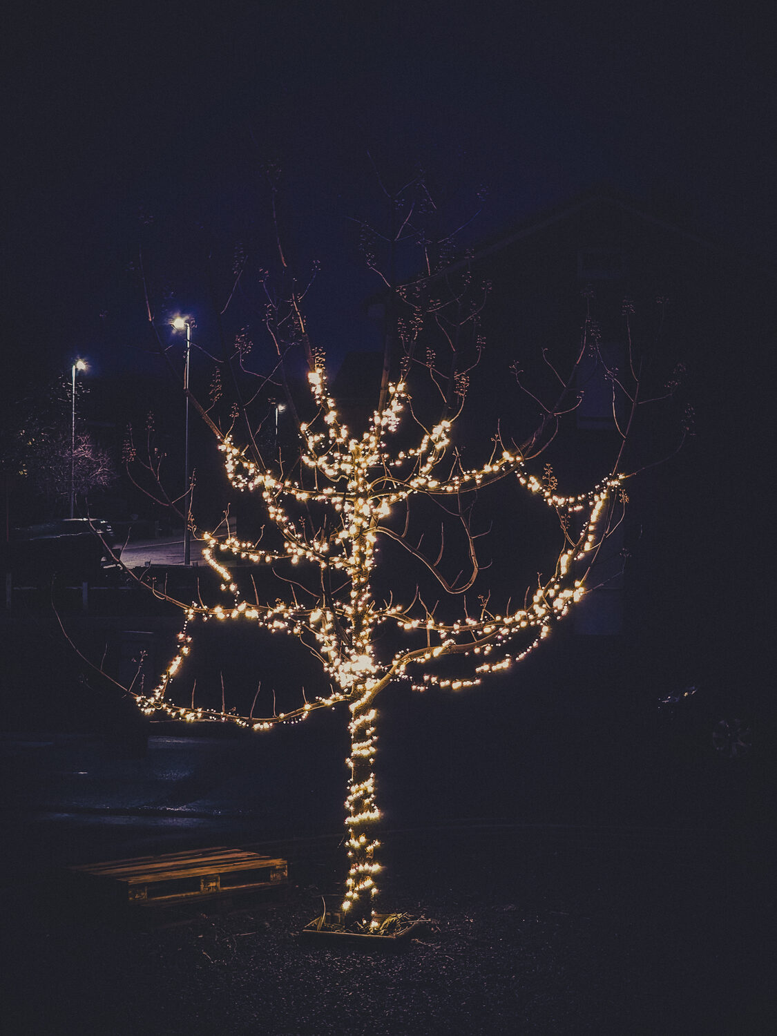 Lichtjestijd.
