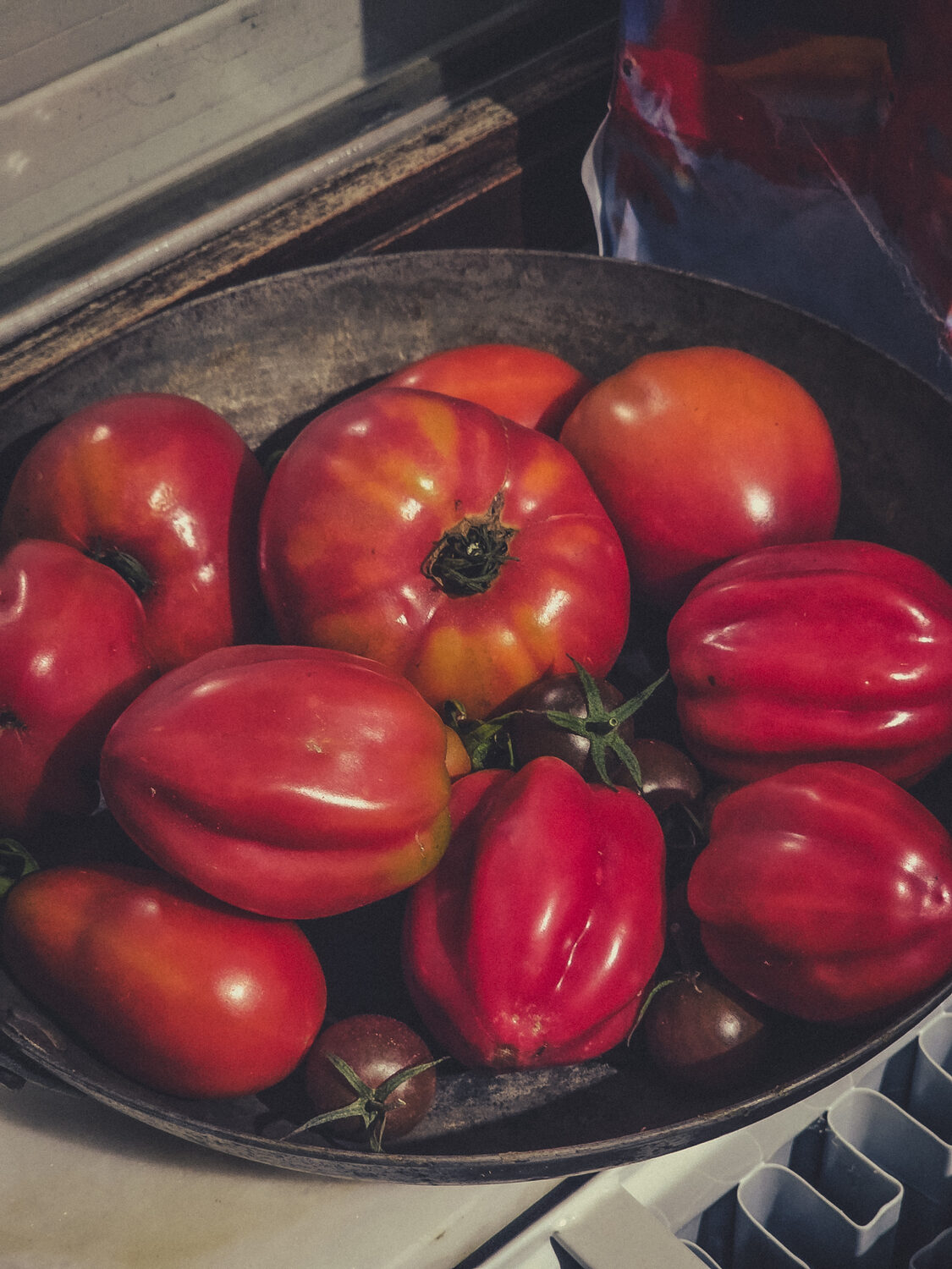 Tomatentijd