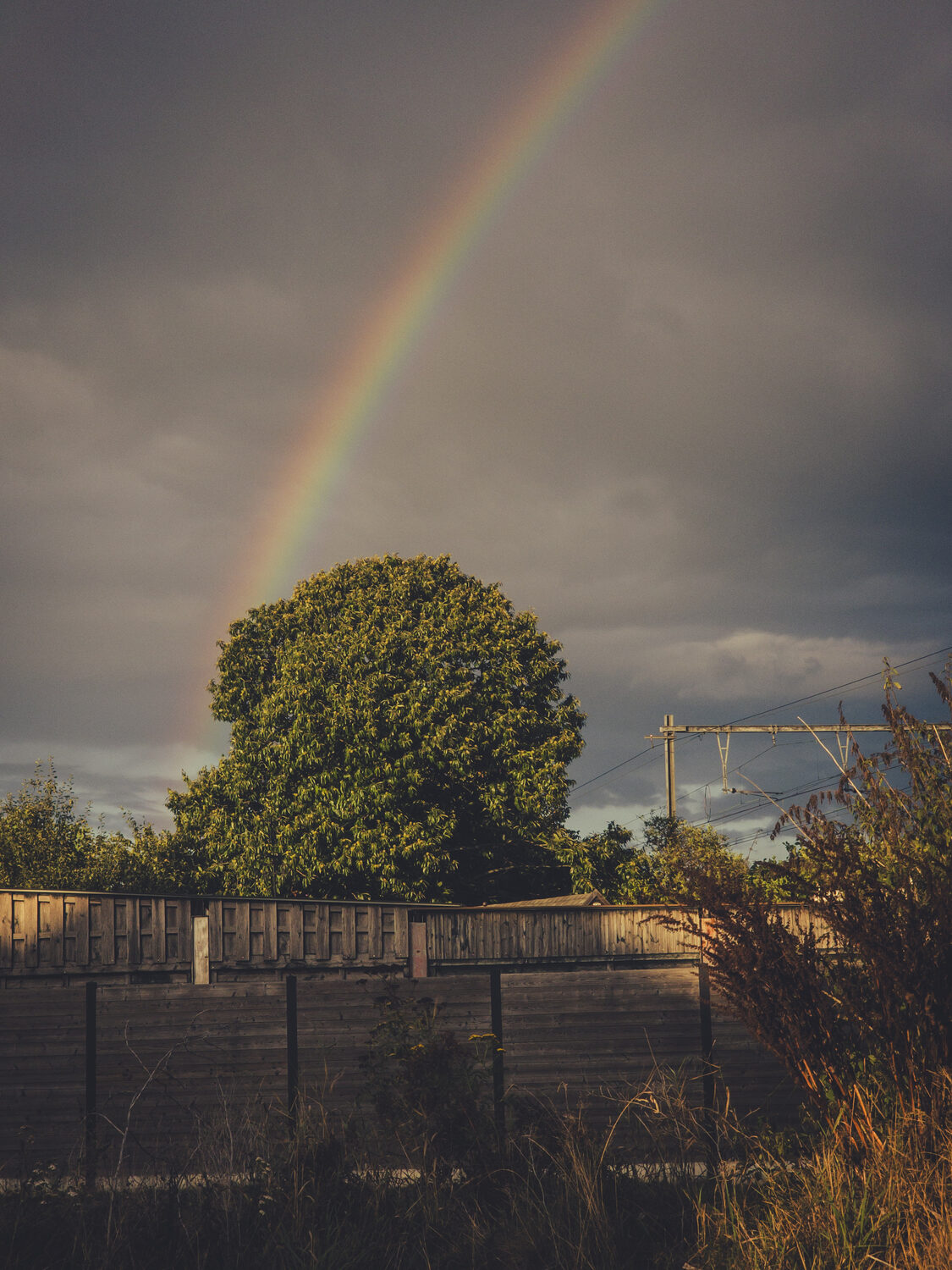Iedereen houdt van regenbogen, toch?