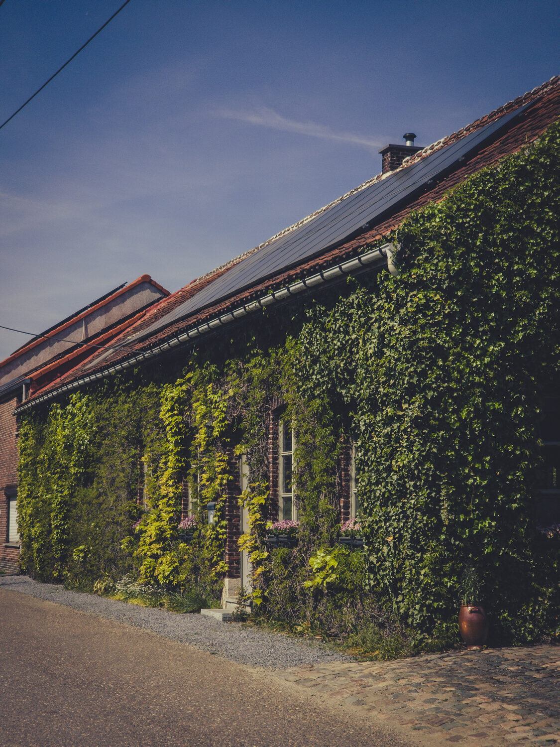 Op wandel in Betekom.