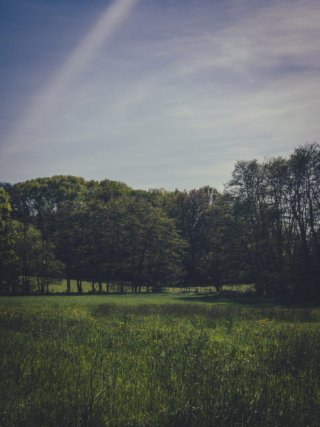 Op wandel in Betekom.